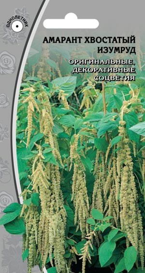 Амарант Изумруд 