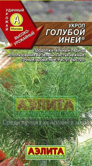 Укроп Голубой Иней