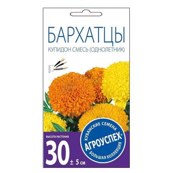 Бархатцы Купидон