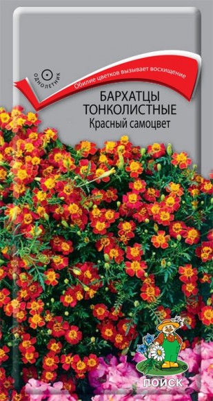 Бархатцы тонколистные Красный самоцвет
