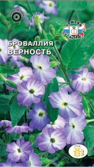 Броваллия Верность, голубая 