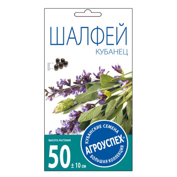 Шалфей Кубанец 