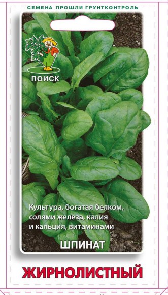 Шпинат Жирнолистный