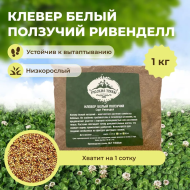 Клевер белый низкорослый Ривендел (1 кг)