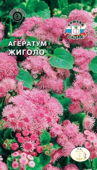Агератум Жиголо розовый 