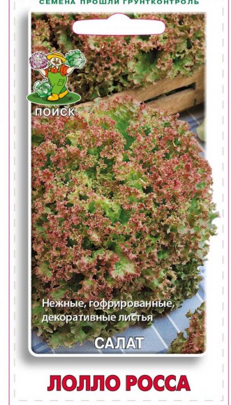 Салат Лолло Росса