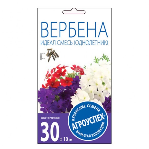 Вербена Идеал