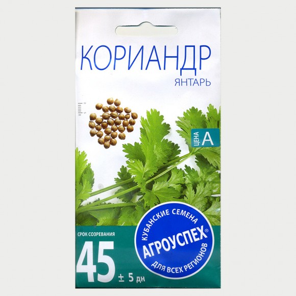 Кориандр Янтарь АУ