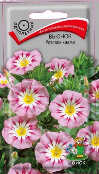 Вьюнок Розовое знамя