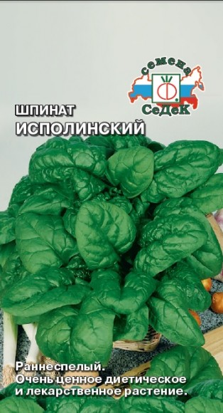 Шпинат Исполинский 