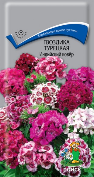 Гвоздика Турецкая Индийский ковер