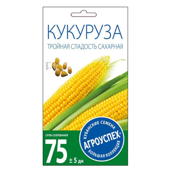 Кукуруза Тройная сладость