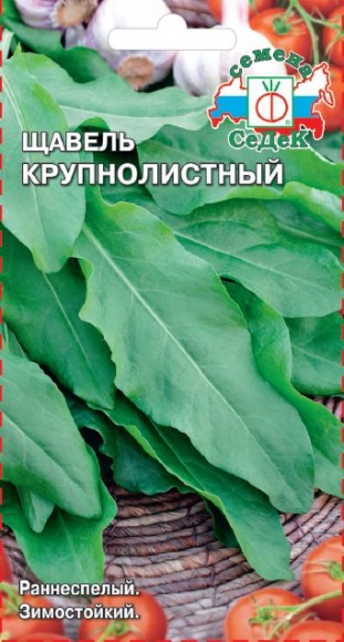 Щавель Крупнолистный