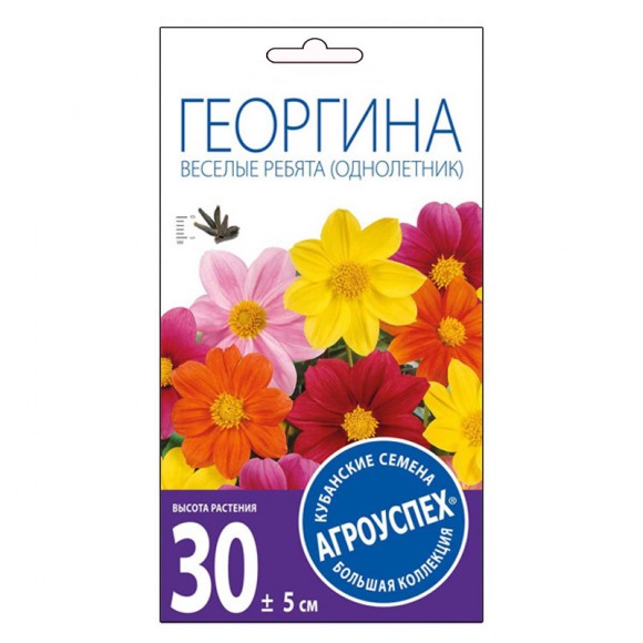 Георгина Веселые ребята 