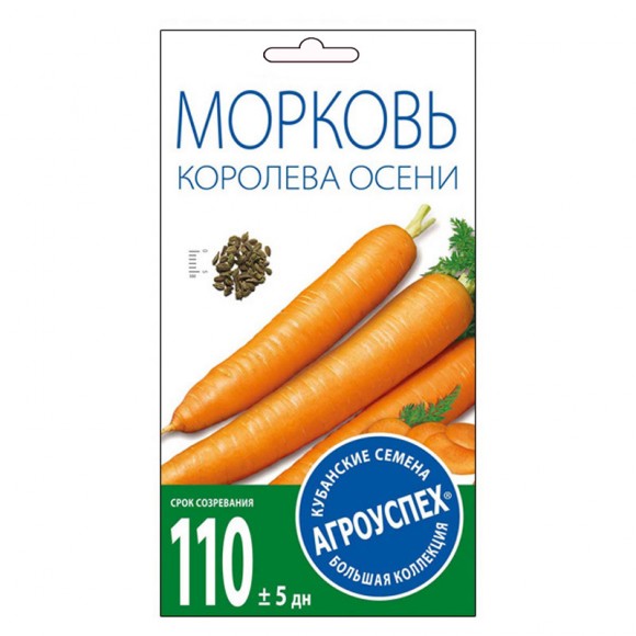 Морковь Королева осени АУ