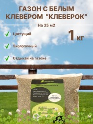Газонная травосмесь с клевером луговым(красным) КлеверОК (1 кг)