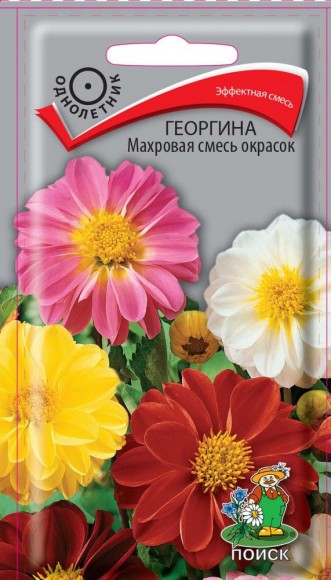 Георгина Махровая смесь окрасок 