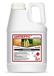 Инсектицид Циперус, 5л