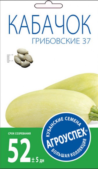 Кабачок белоплодный Грибовский 37 средний