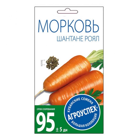 Морковь Шантане Роял