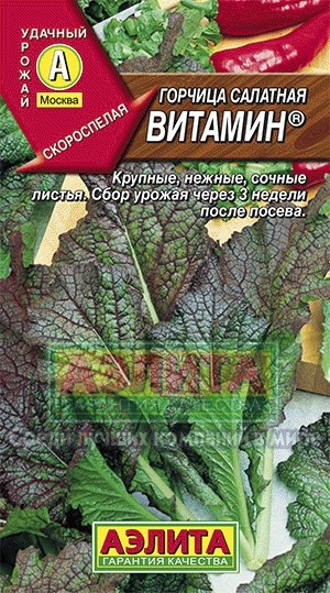 Горчица салатная Витамин 