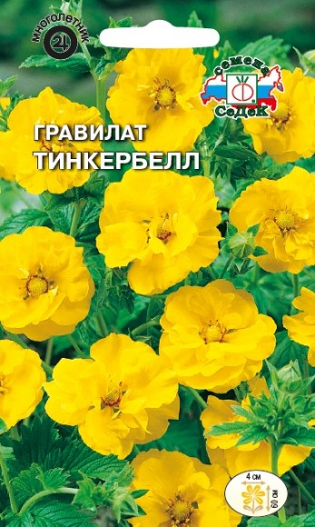 Гравилат чилийский Тинкербелл, жёлтый 