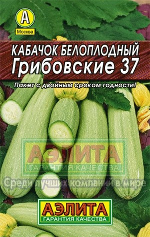 Кабачок белоплодный Грибовские 37 