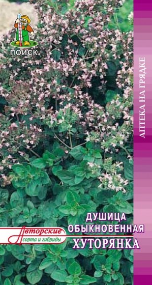 Душица Хуторянка обыкновенная 