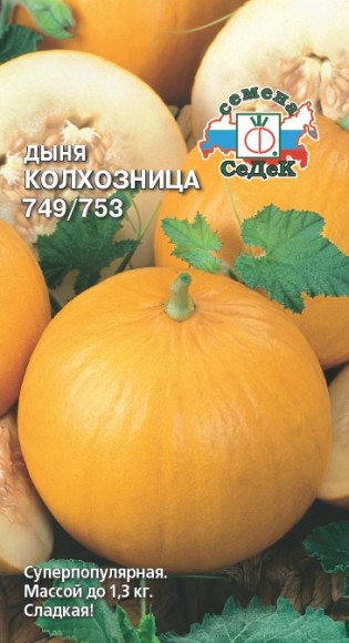 Дыня Колхозница 749/753