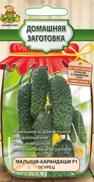 Огурец Малыши - карандаши F1