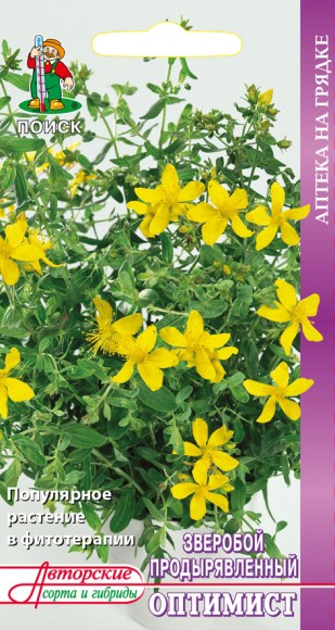 Зверобой продырявленный Оптимист Зверобой продырявленный Оптимист