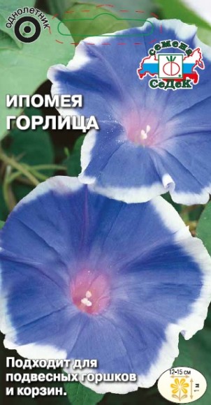 Ипомея Горлица, голубая с белой каймой