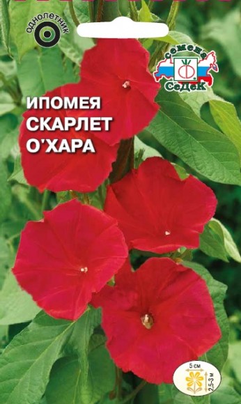 Ипомея Скарлет О'Хара, алая
