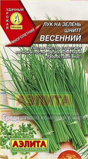 Лук на зелень Шнитт весенний