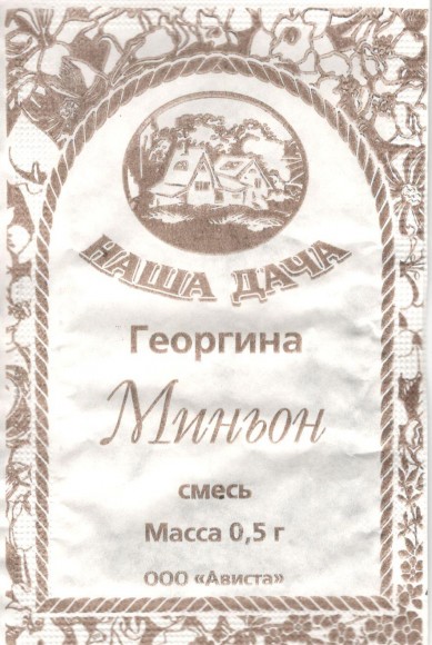 Георгина Миньон