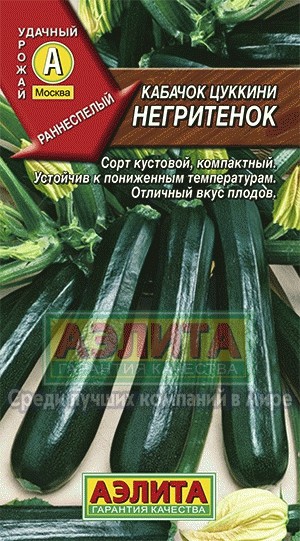 Кабачок цуккини Негритенок