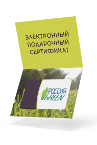 Электронный подарочный сертификат на 10000 рублей Электронный подарочный сертификат на 10000 рублей