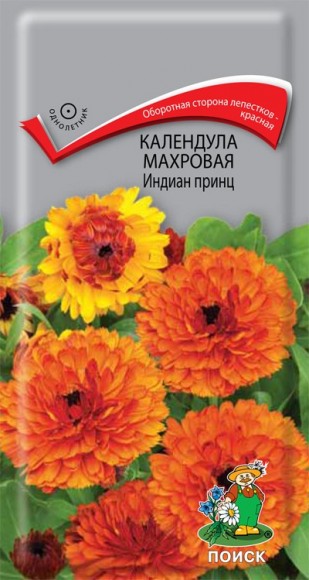 Календула махровая Индиан принц F1