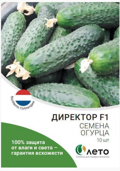 Огурец Директор F1