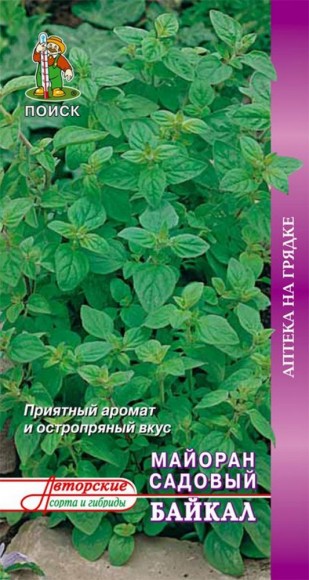 Майоран Байкал садовый 