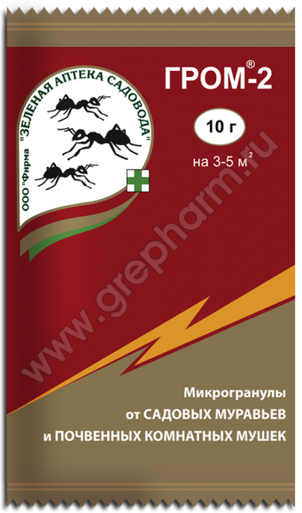 Гром-2, Г (10 гр)