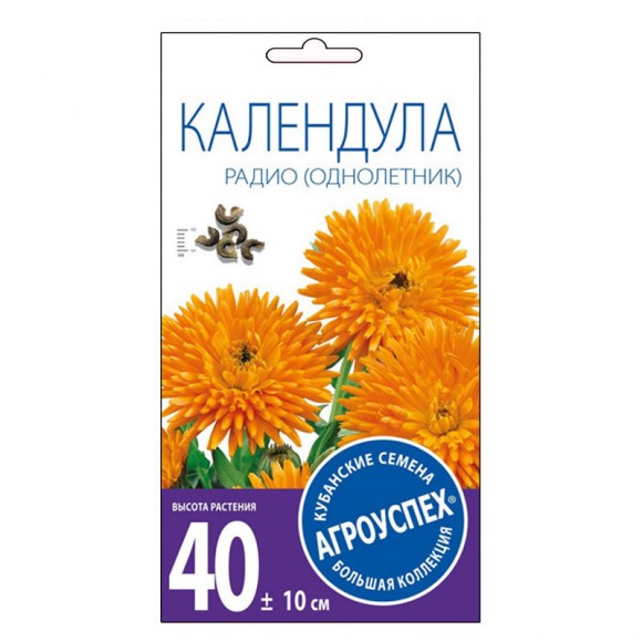 Календула Радио 