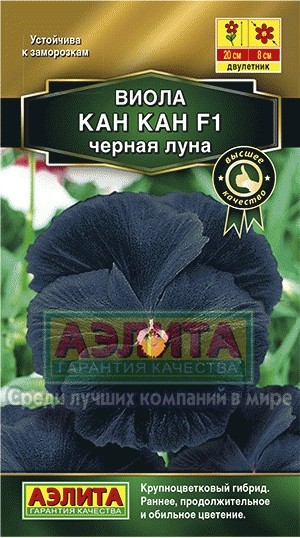 Виола Кан Кан F1 черная луна