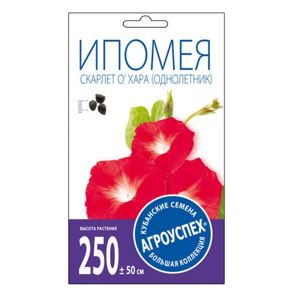 Ипомея Скарлет О'Хара