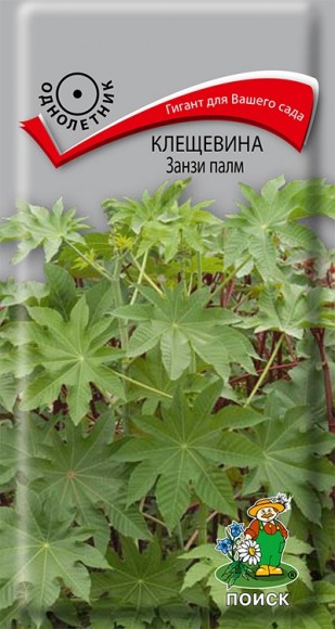 Клещевина Занзи палм