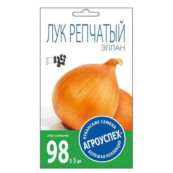 Лук репчатый Эллан ранний