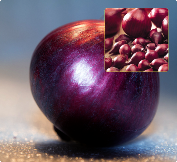 Лук-севок Ред Барон (1 кг) Лук-севок Ред Барон (1 кг)