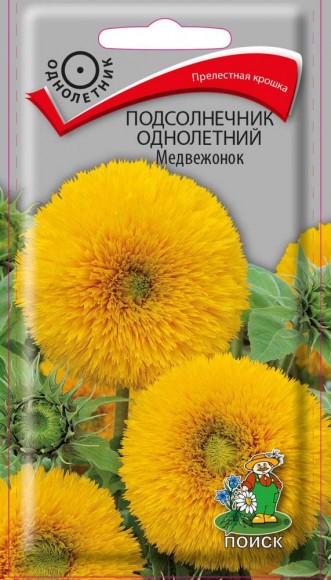 Подсолнечник медвежонок однолетний
