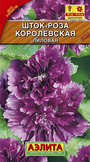 Шток роза Королевская лиловая