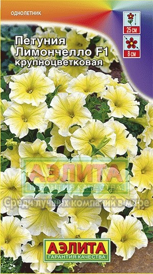 Петуния Лимончелло крупноцветковая 